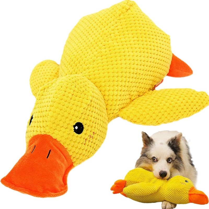 interactive dog toy