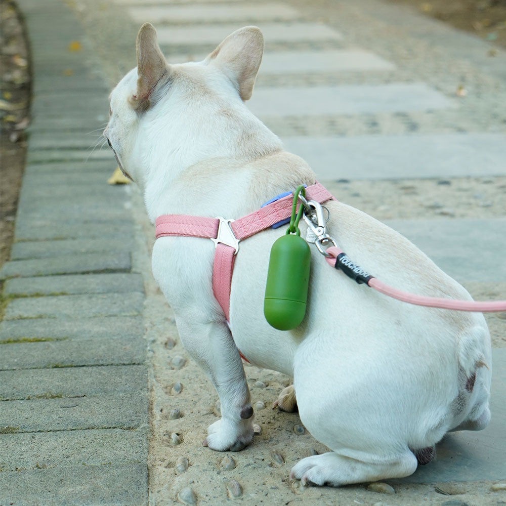 refill rolls for dog poop bags