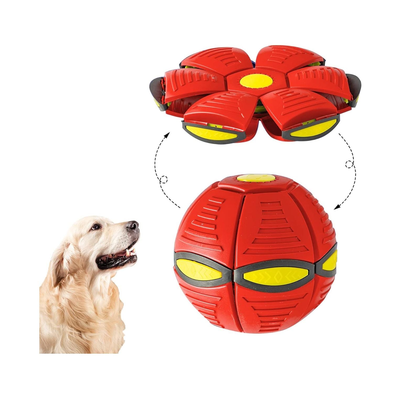 interactive dog toy