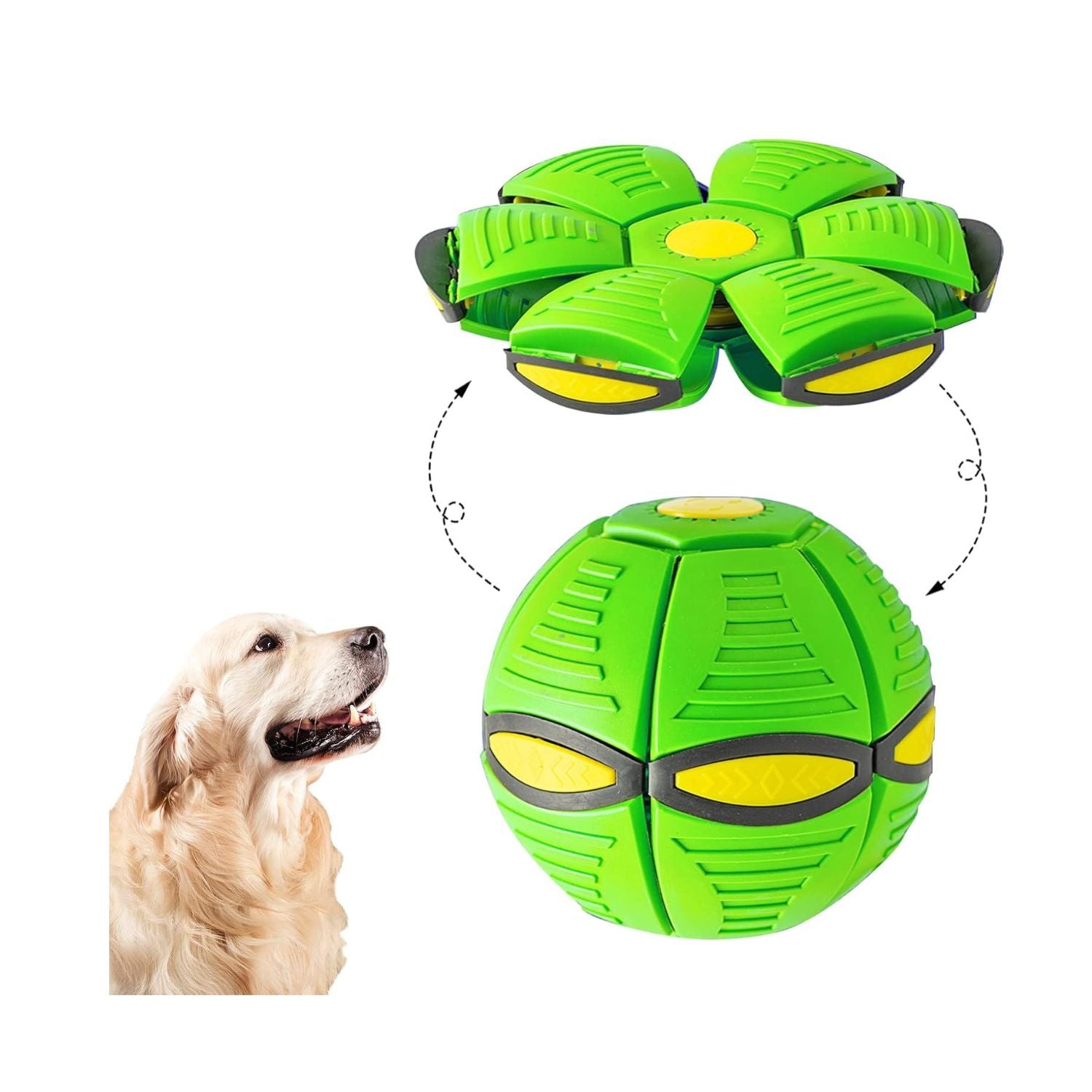 flying disc dog toy