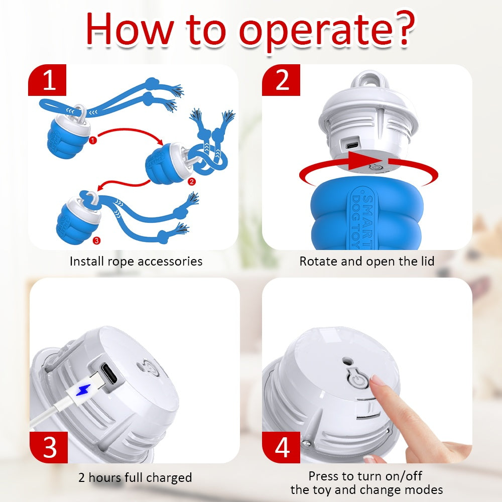 USB rechargeable dog toy