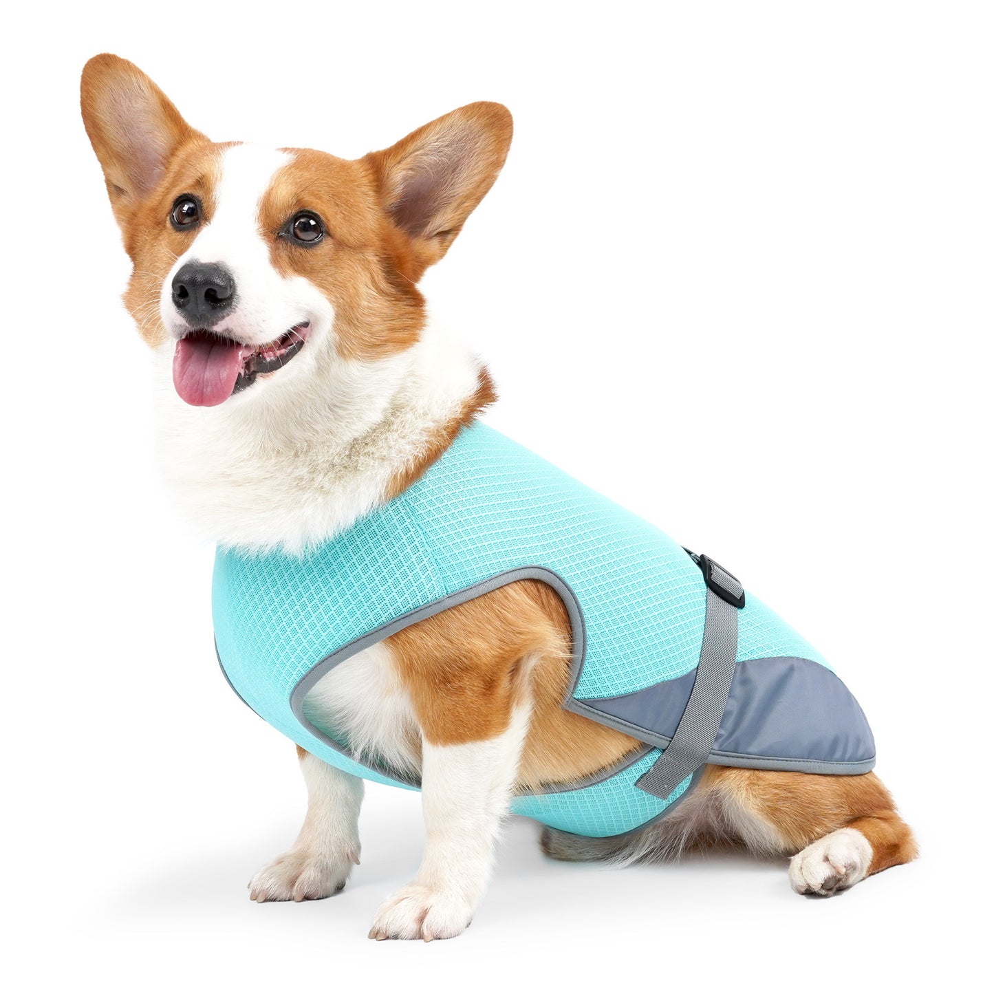 dog clothes for hot weather

