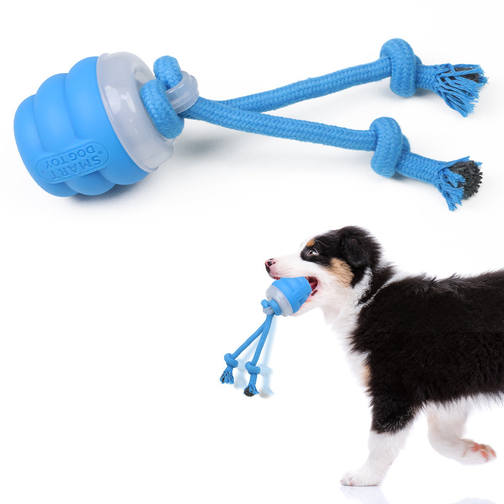 USB rechargeable dog toy

