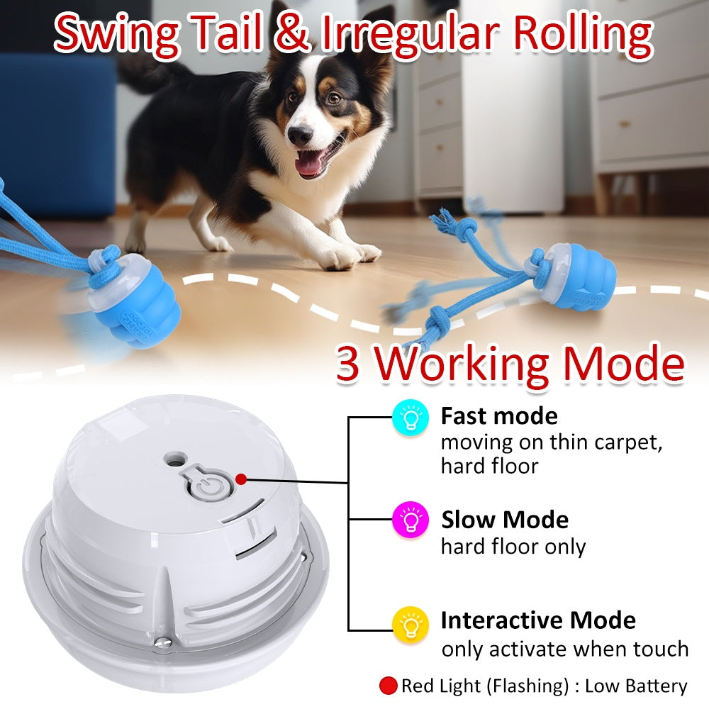 2-in-1 dog toy and leash