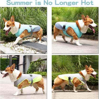lightweight summer dog vest

