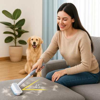 Dog sofa cleaner

