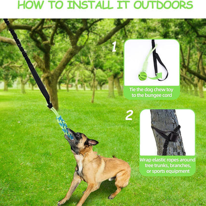 indoor outdoor dog toy