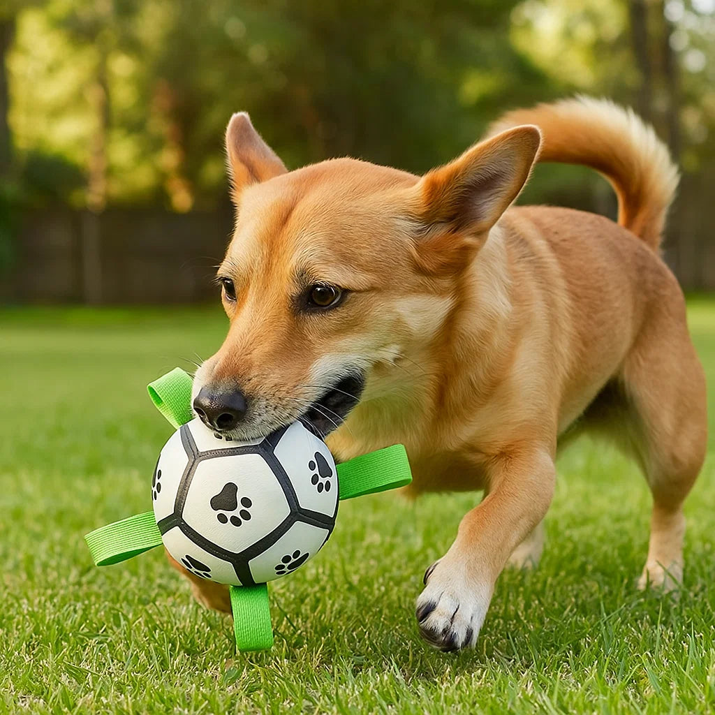 interactive dog toy