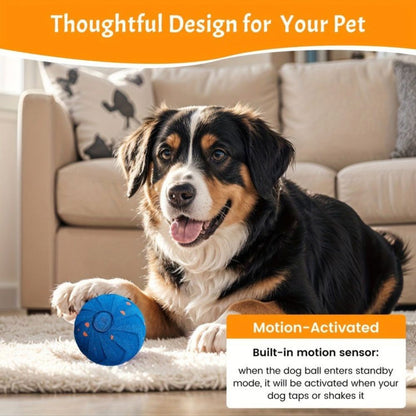USB rechargeable dog toy

