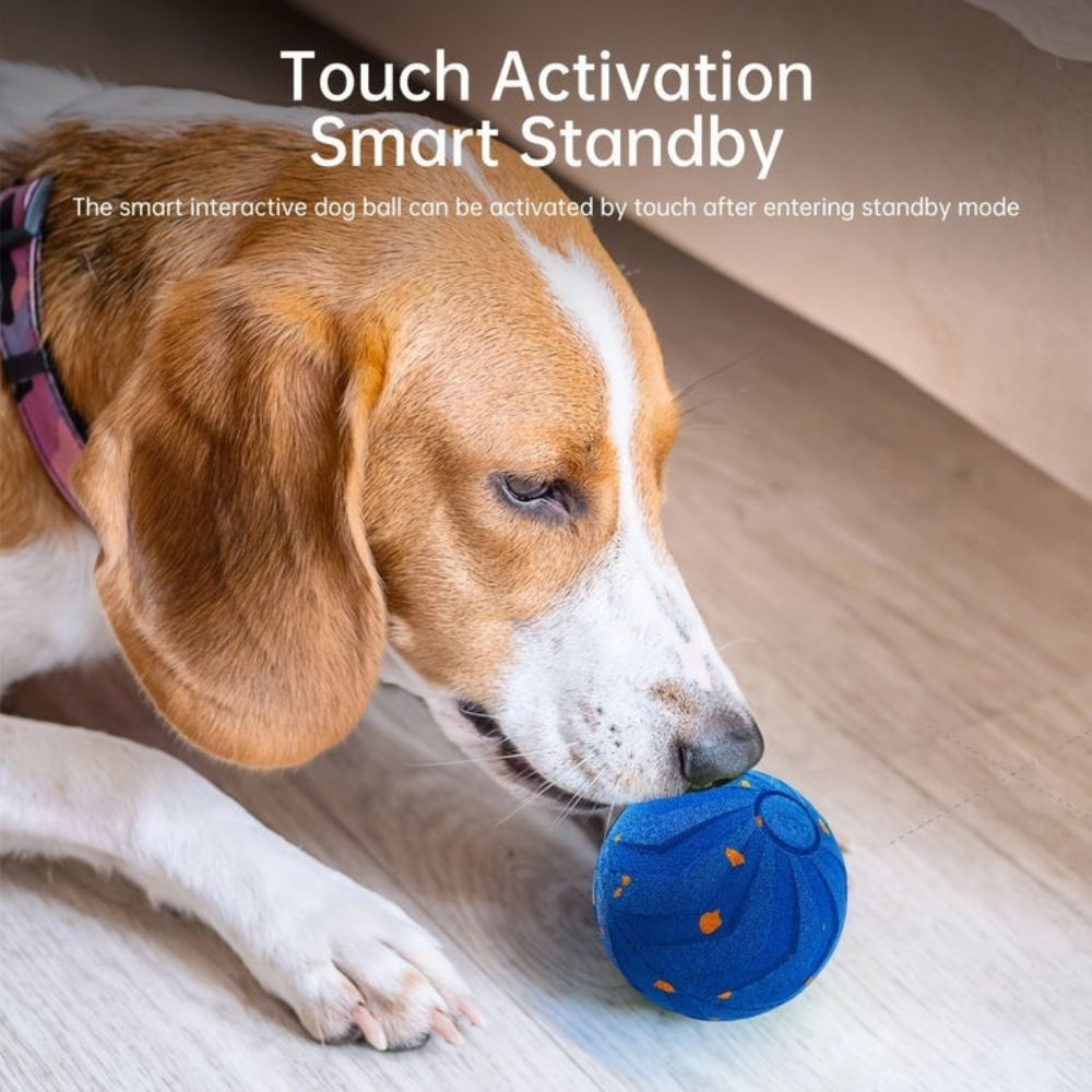 interactive dog toy