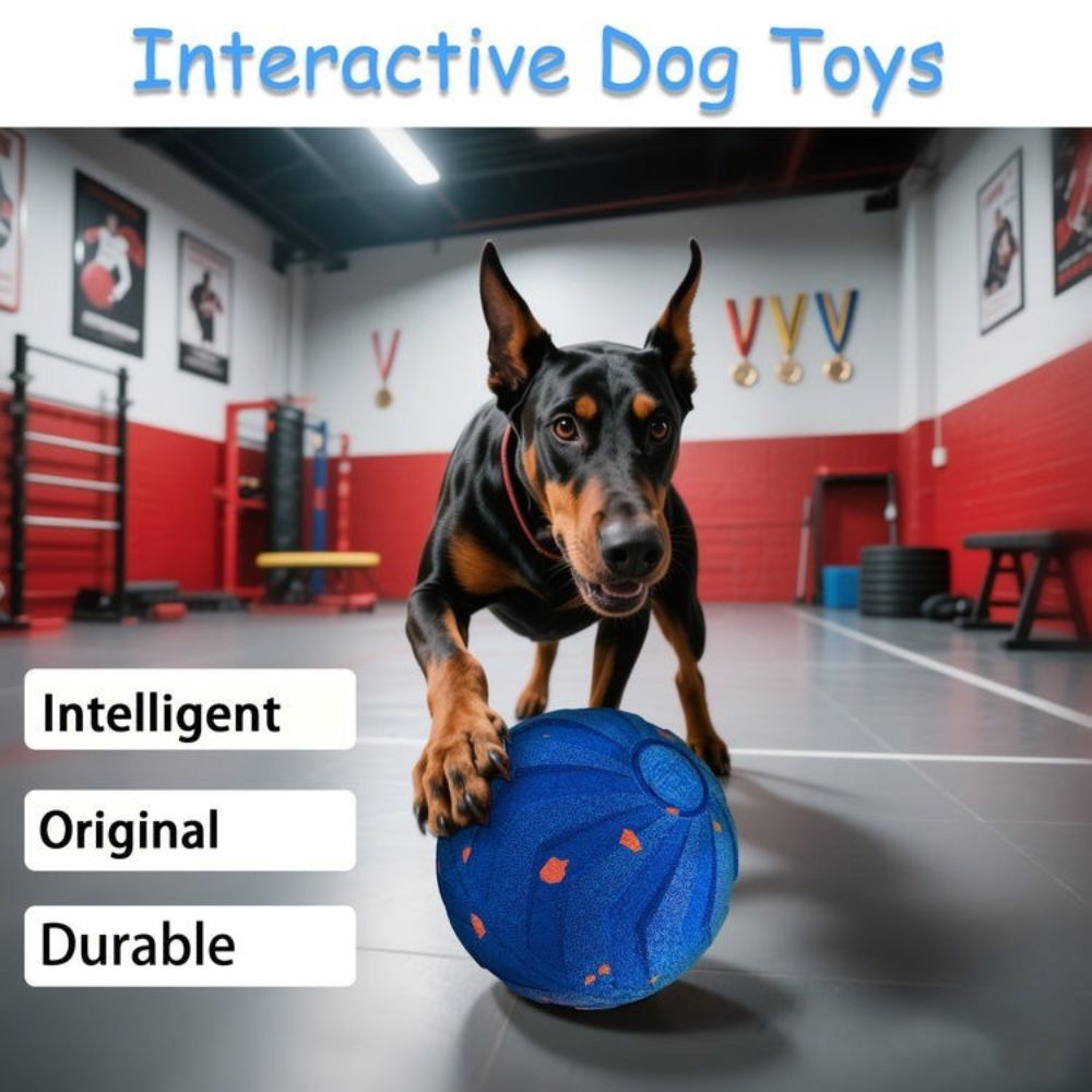 USB rechargeable dog toy

