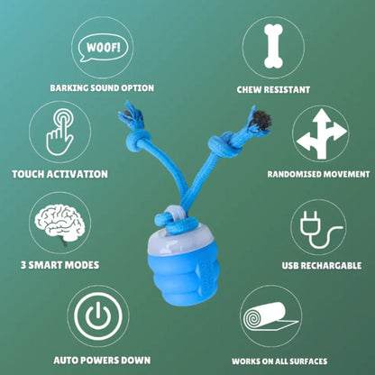 
2-in-1 dog toy and leash