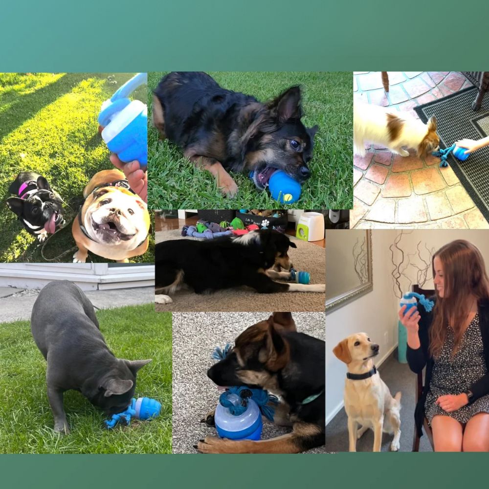 2-in-1 dog toy and leash