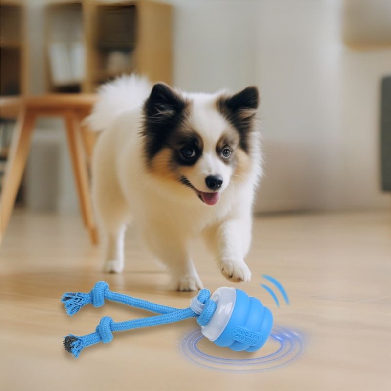 Small dog leash toy

