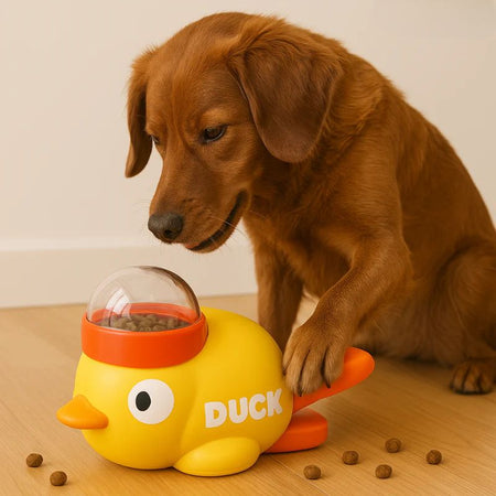 Dog training toy
