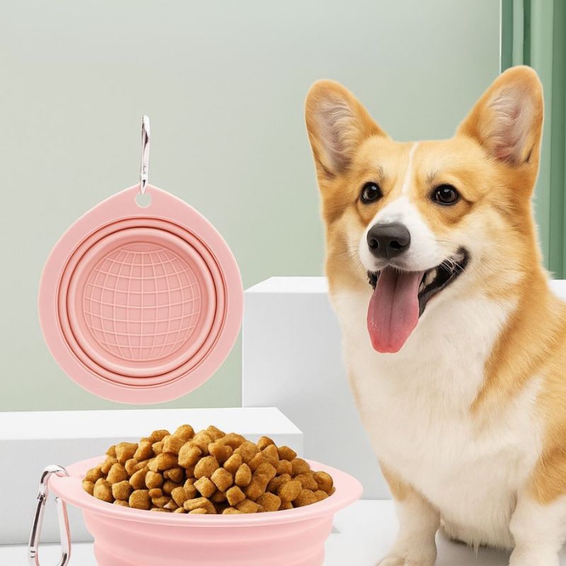 travel water bowl for dogs