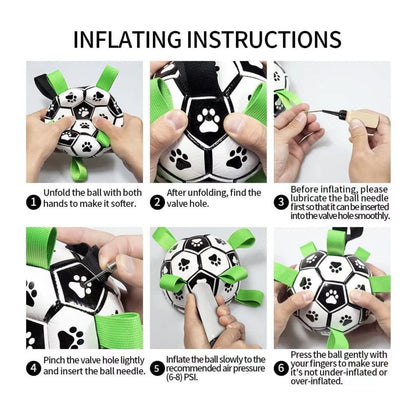 interactive dog toy