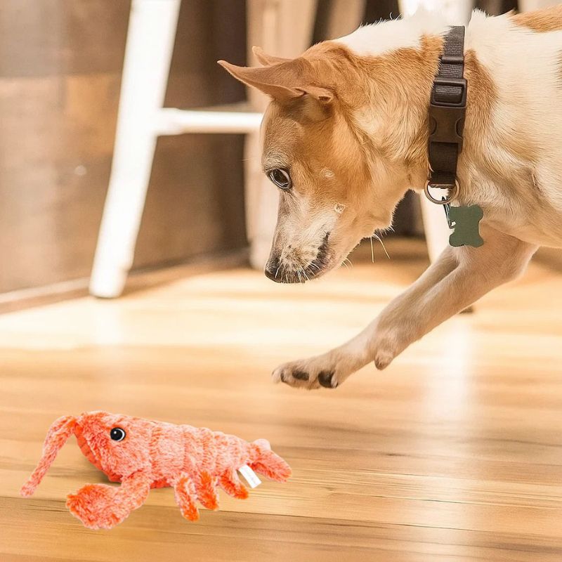 Funny Lobster Dog Toy – Plush, Squeaky & Durable