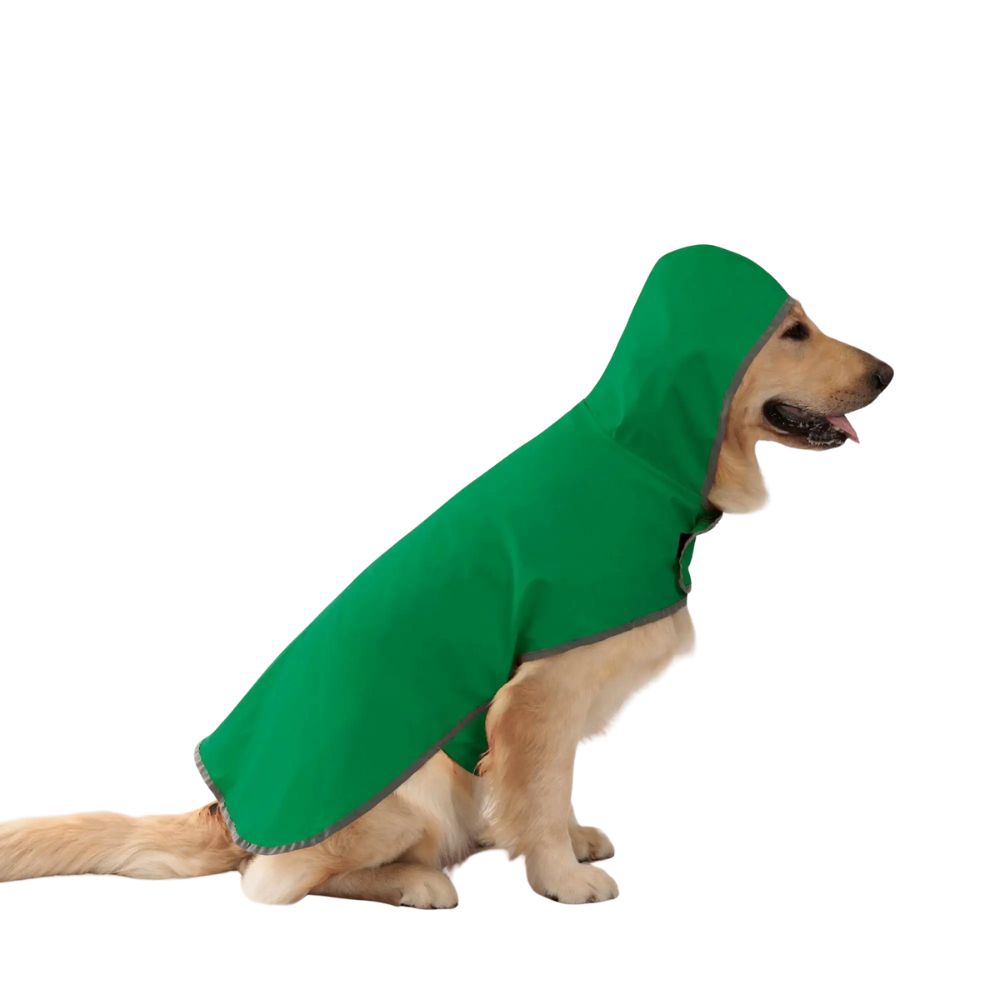 dog raincoat