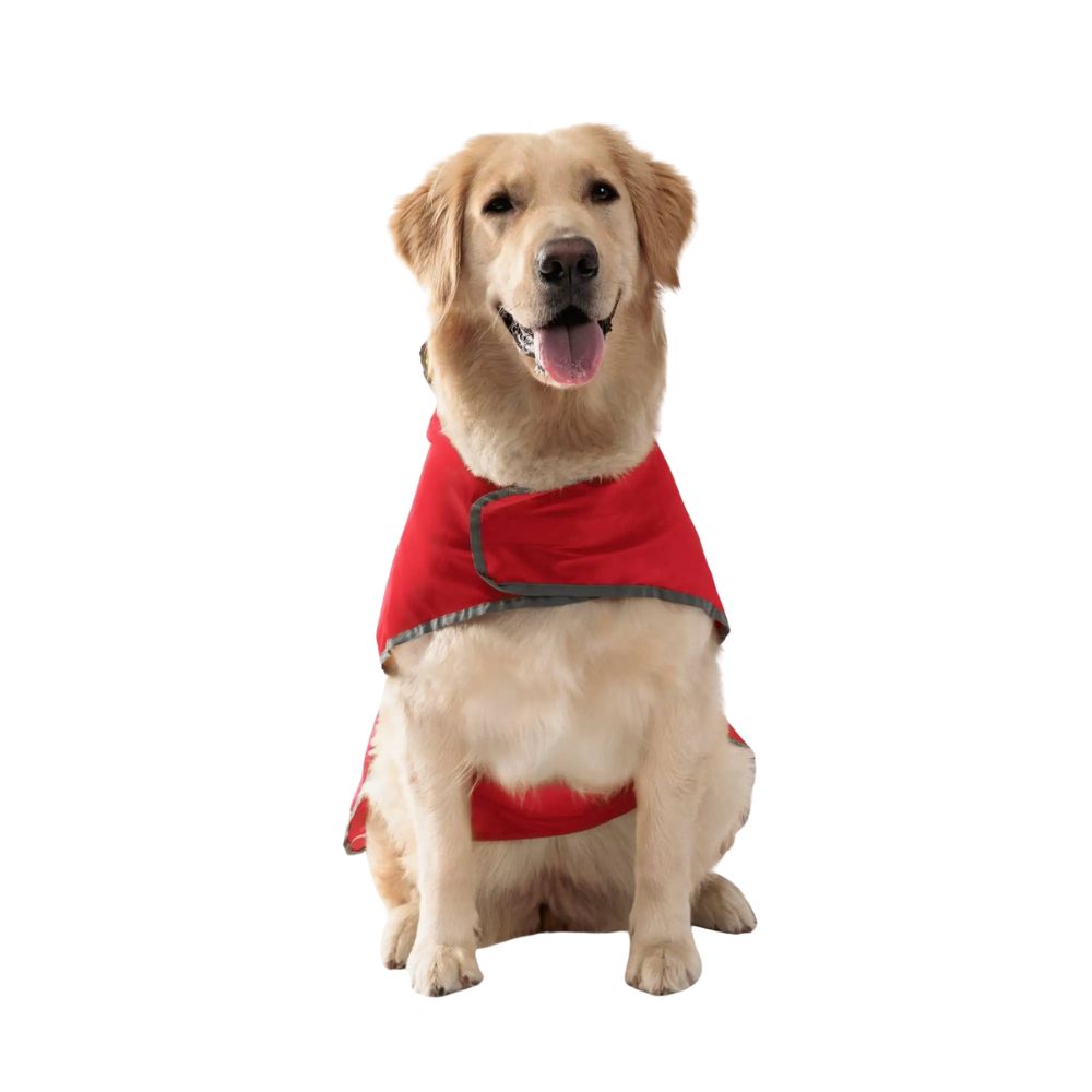 lightweight dog raincoat