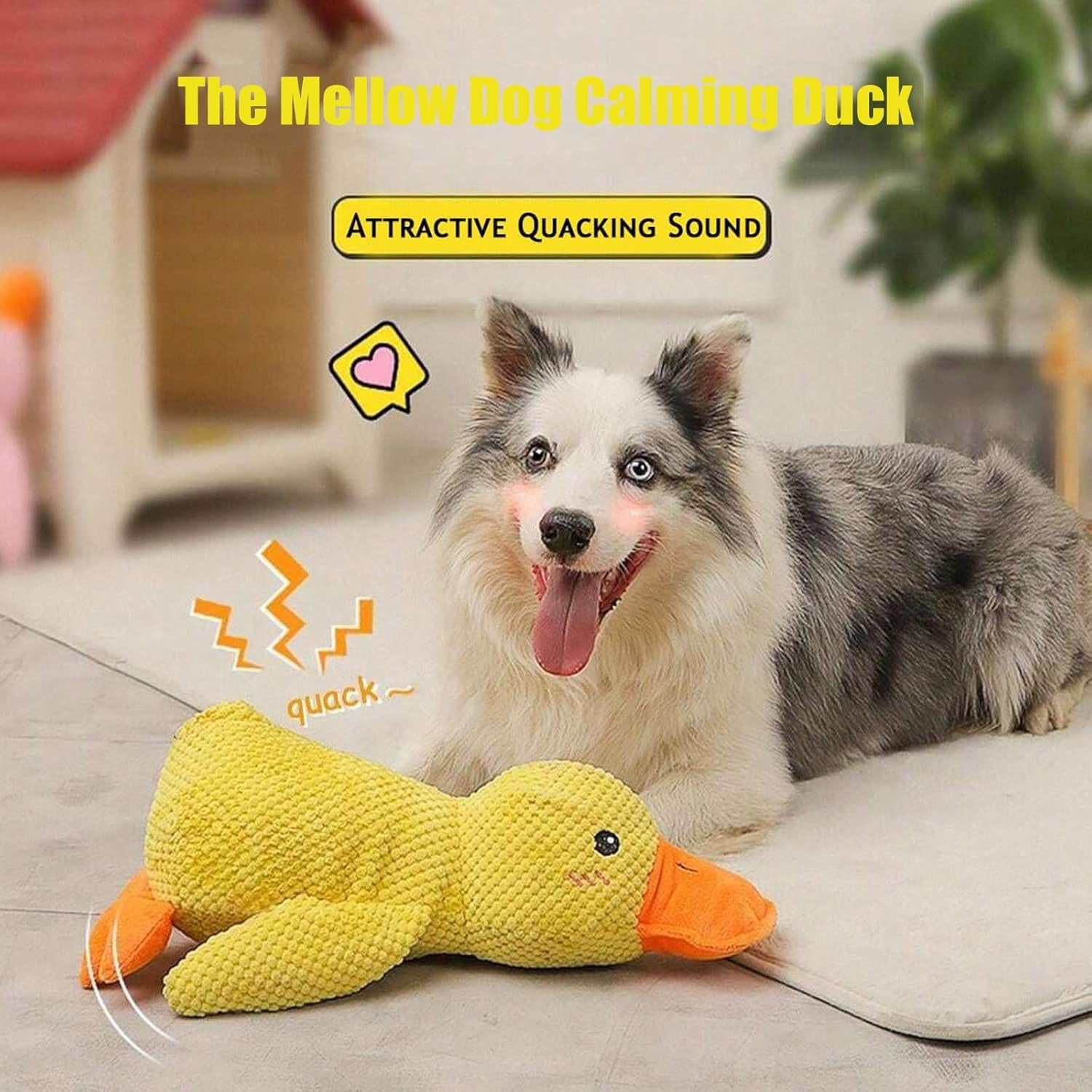 duck dog toy