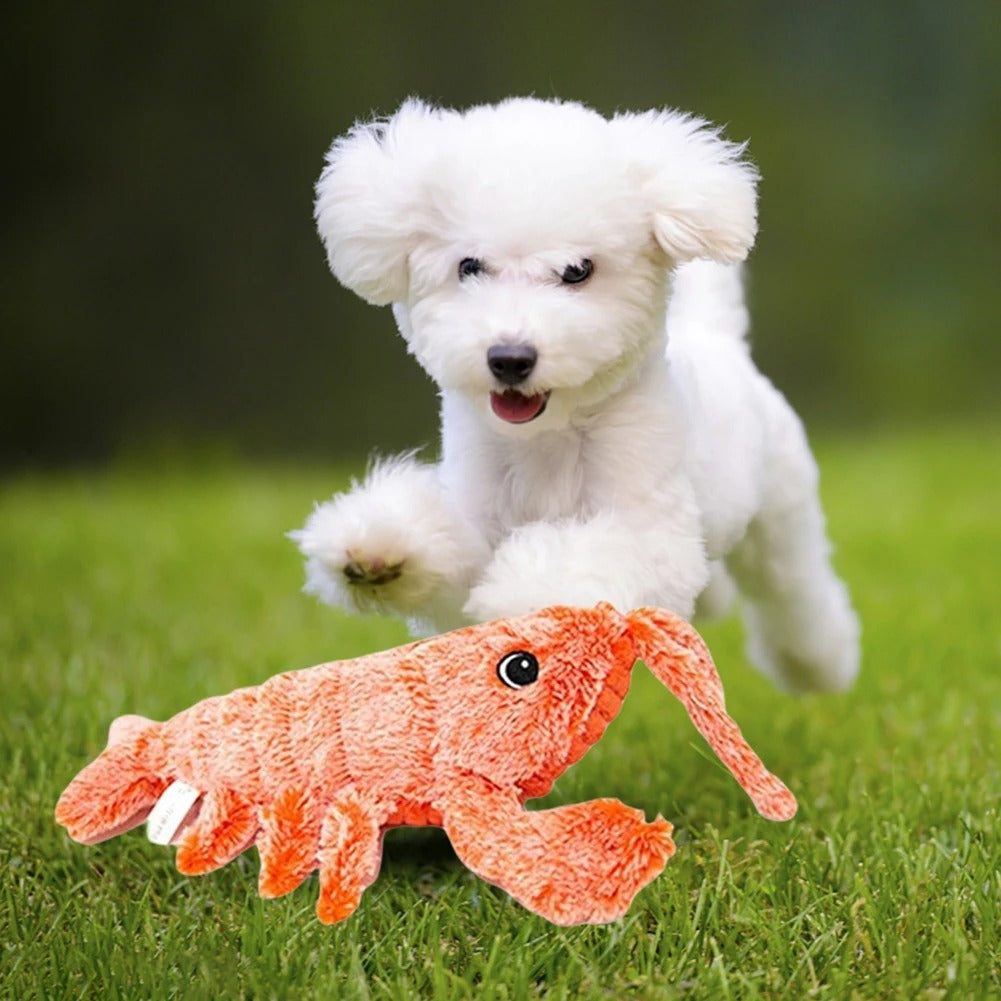 Lobster dog toy