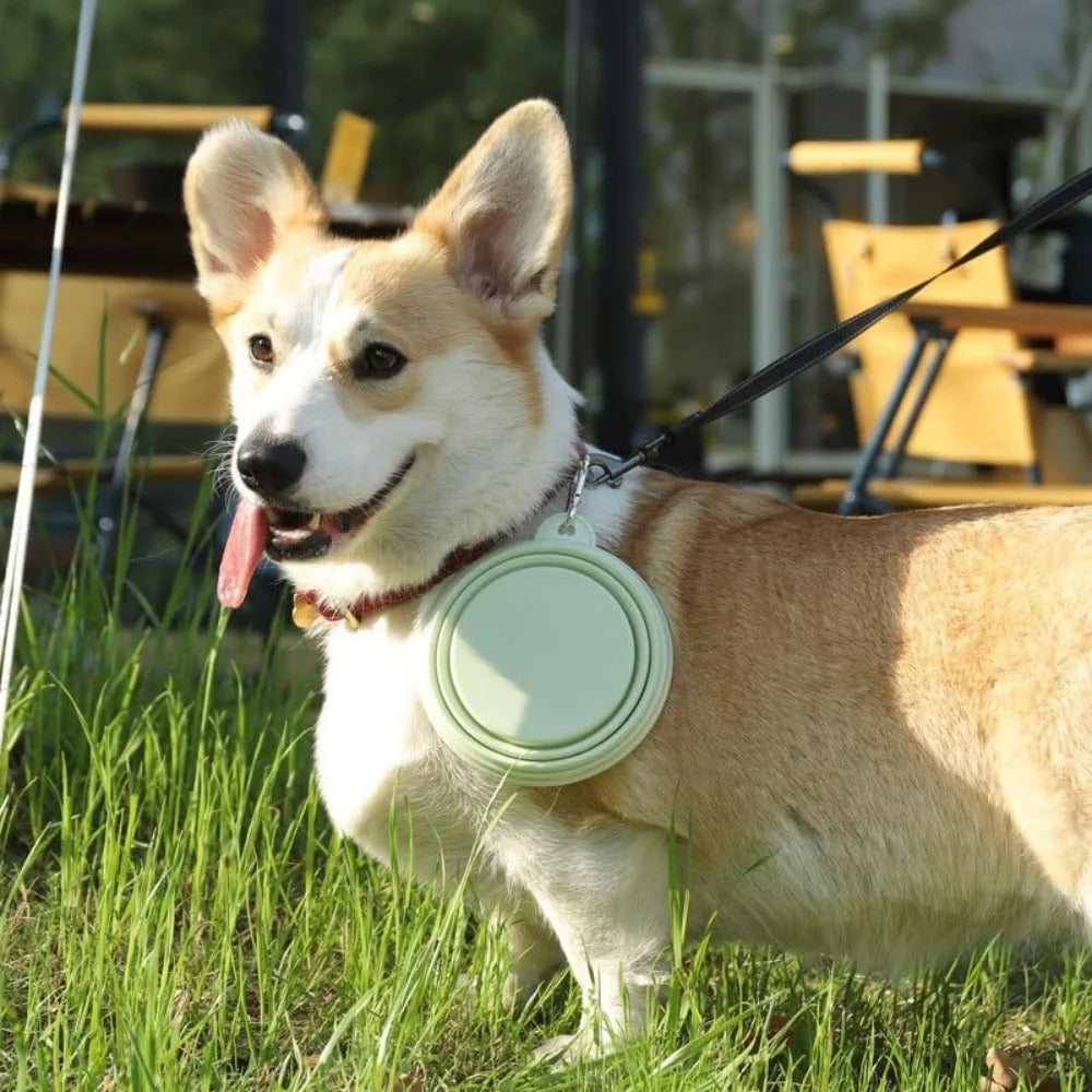 portable pet water bowl